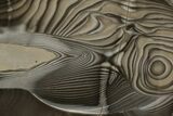 Polished, Striped Flint Slab - Poland #193150-1